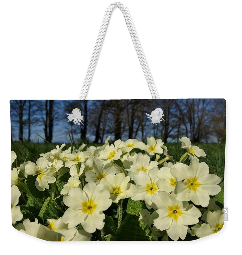 Spring Weekender Tote Bag featuring the photograph Thoughts of Spring by Richard Brookes
