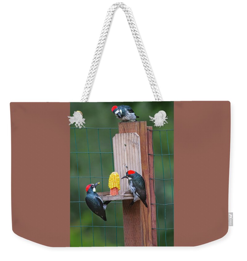Mark Miller Photos Weekender Tote Bag featuring the photograph Three Backyard Woodpeckers by Mark Miller
