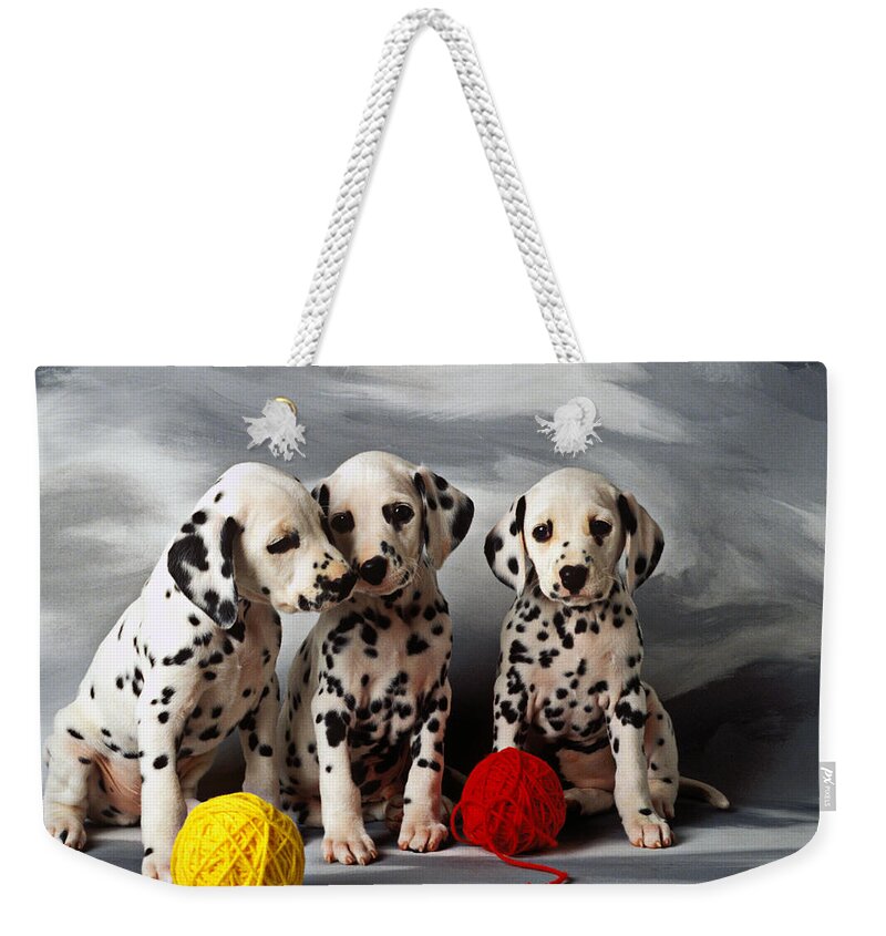 Dalmatian Puppies Three Puppy Dalmatians Pet Pets Animal Animals Dog Dogs Doggy Sit Sits Sitting Young Pedigree Canine Domestic Domesticated Purebred Purebreed Breed Gray Background Vertical Color Colour Colors Canines Calm Cute Hound Hounds Innocence Spot Spots Companionship Together Togetherness Weekender Tote Bag featuring the photograph Three Dalmatian puppies by Garry Gay