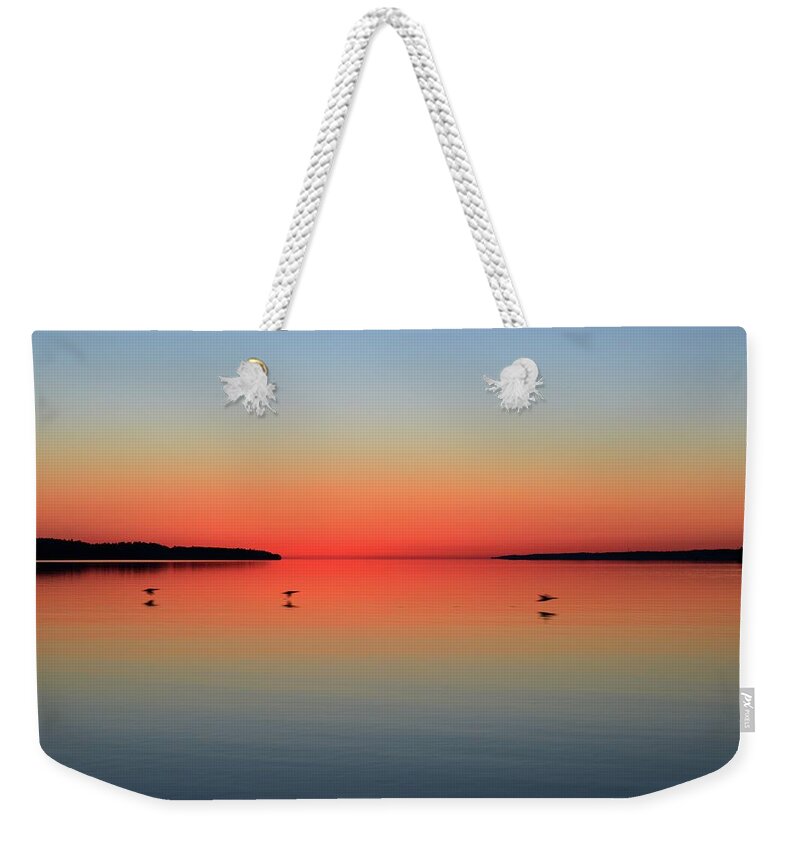 Abstract Weekender Tote Bag featuring the photograph Three Ducks Flying By At Dawn by Lyle Crump