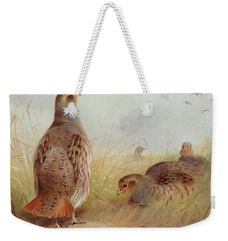 Three English Partridges Weekender Tote Bag featuring the painting Three English Partridges by Archibald Thorburn