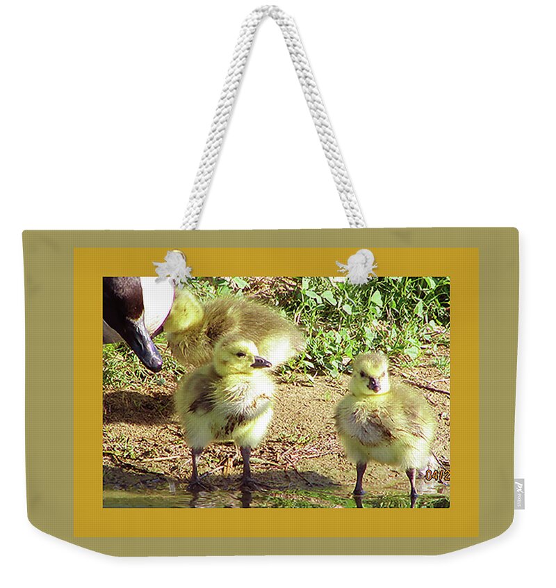 Birds Weekender Tote Bag featuring the digital art Three Goslings with Mother Goose by Kathleen J Beller