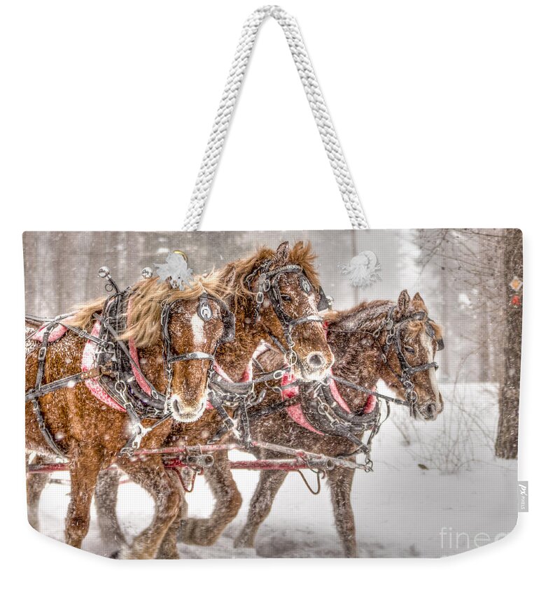 Horses Weekender Tote Bag featuring the photograph Three Horses - Color by Rod Best