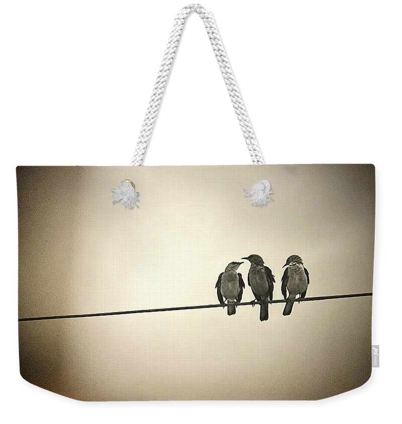 Birds Weekender Tote Bag featuring the photograph Three Little Birds by Trish Mistric