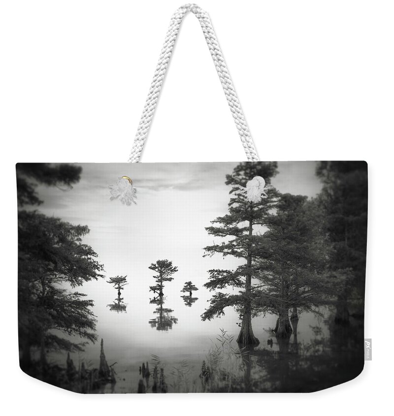 Lr_thefader Weekender Tote Bag featuring the photograph Three little brothers by Eduard Moldoveanu