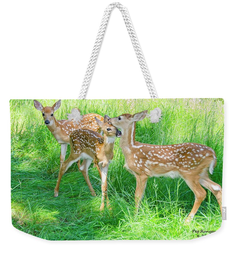 Fawns Weekender Tote Bag featuring the photograph Three of a Kind by Peg Runyan