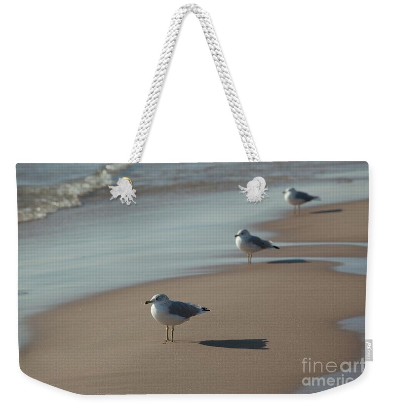 Seagulls Weekender Tote Bag featuring the photograph Three Seagulls by Rich S