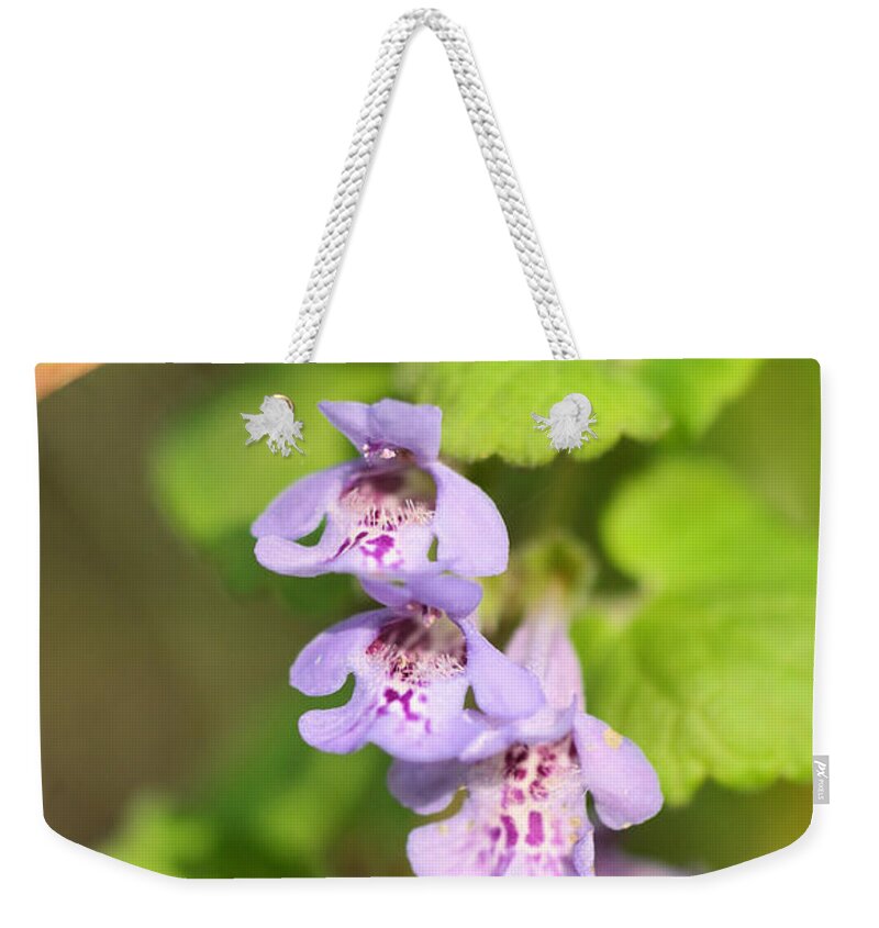 Flowers Weekender Tote Bag featuring the photograph Three stacked beauties by Jeff Swan