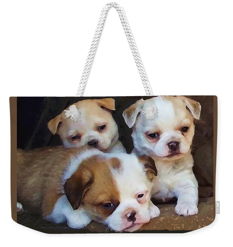 Animal Weekender Tote Bag featuring the mixed media Three Sweeties by Shelli Fitzpatrick