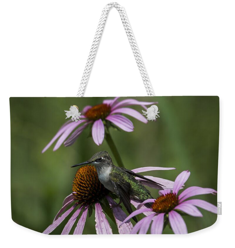 Bird Weekender Tote Bag featuring the photograph Thrice As Nice by Andrea Silies