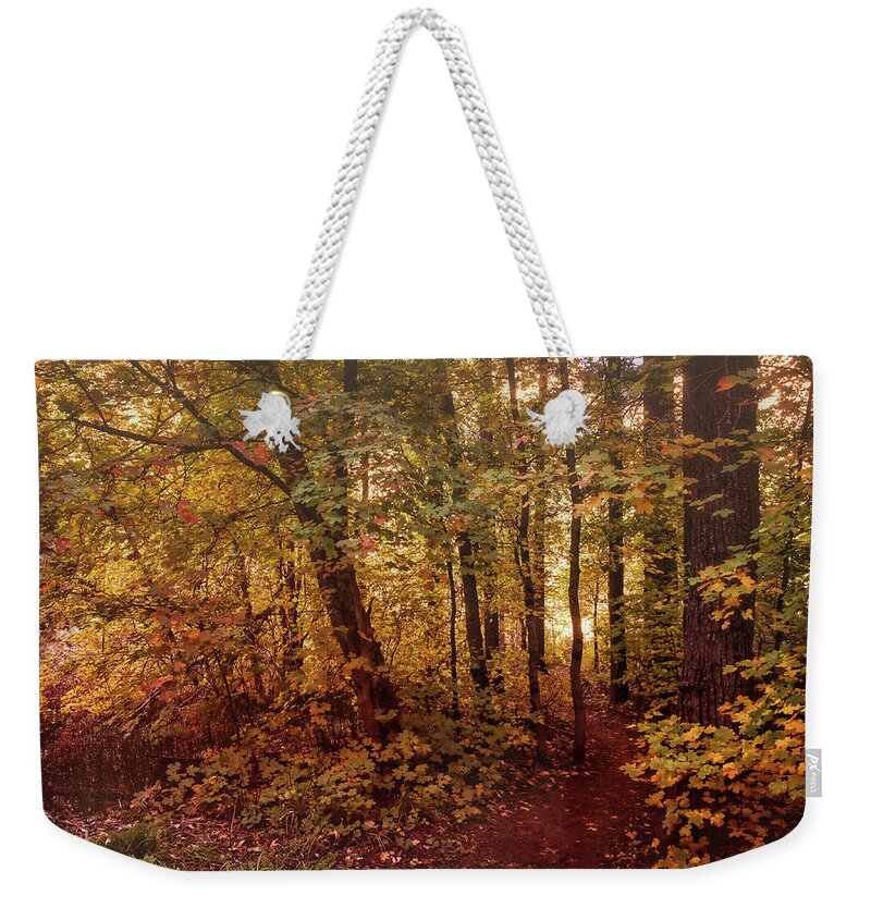 Fall Forest Weekender Tote Bag featuring the photograph Through The Fall Forest by Saija Lehtonen