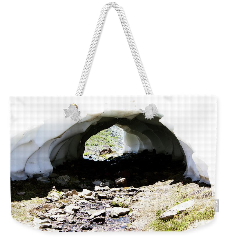 Mount Rainier Washington Nature Landscapes National Parks Trees Mountain Weekender Tote Bag featuring the photograph Through the Snow by Edward Hawkins II
