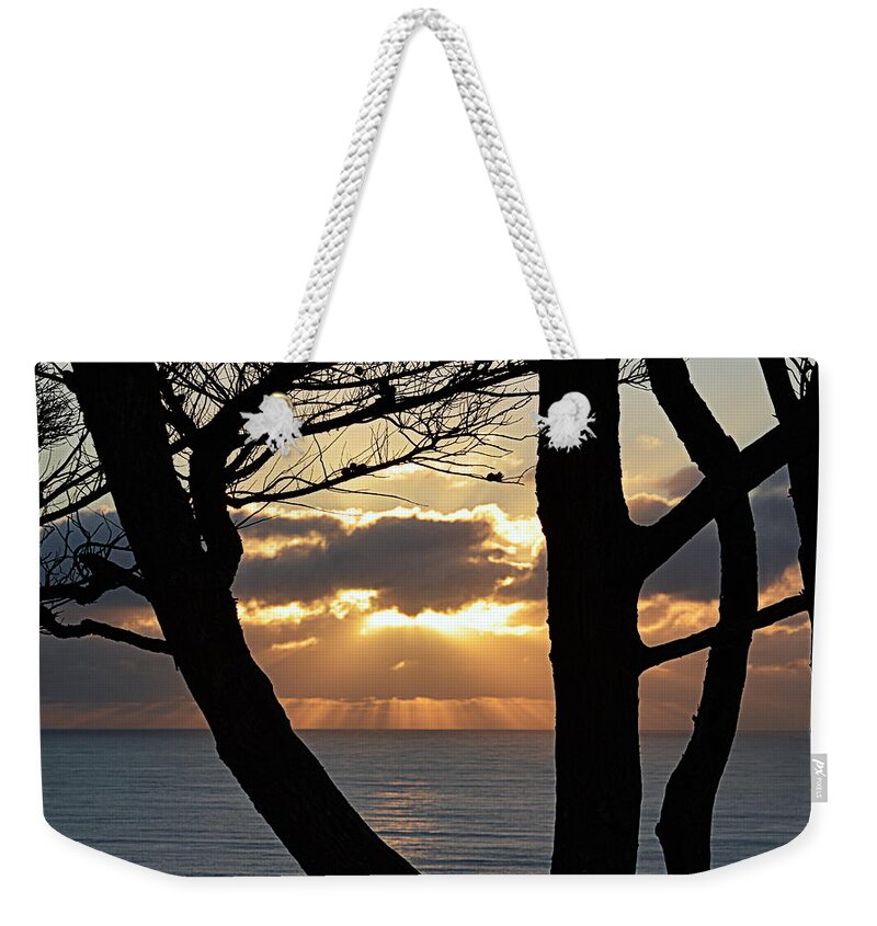 Scenic Weekender Tote Bag featuring the photograph Through the Trees by AJ Schibig