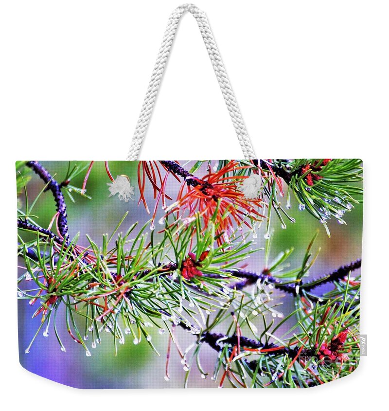 Idaho Weekender Tote Bag featuring the photograph Thru the winter beauty by Merle Grenz