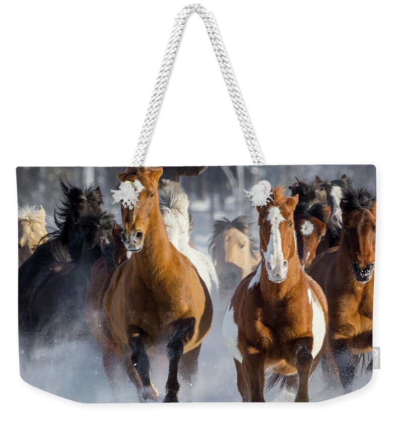Horses Weekender Tote Bag featuring the photograph Thunder of Hooves by Jack Bell