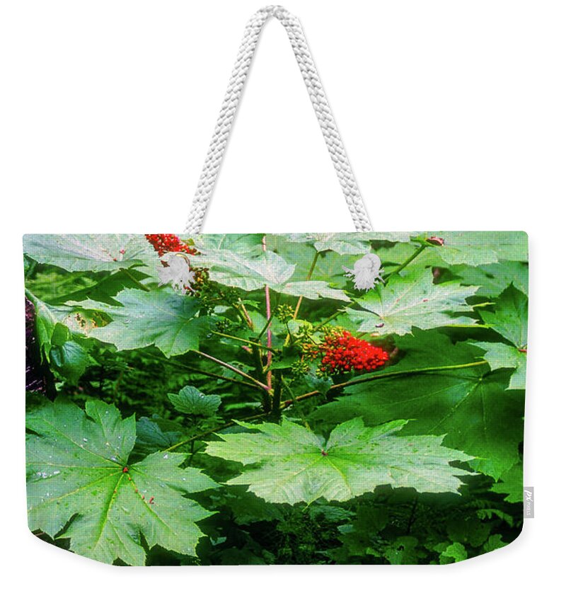 Chugiak Weekender Tote Bag featuring the photograph Thunderbird Fall Trail Foliage by Bob Phillips