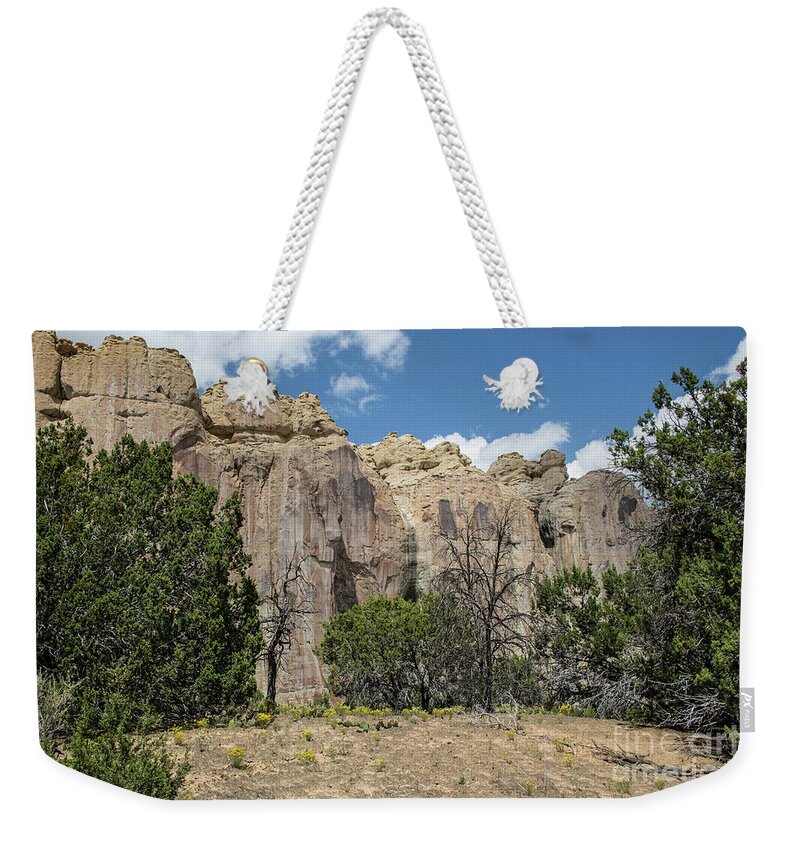 Desert Weekender Tote Bag featuring the photograph Thunderbird by Kathy McClure