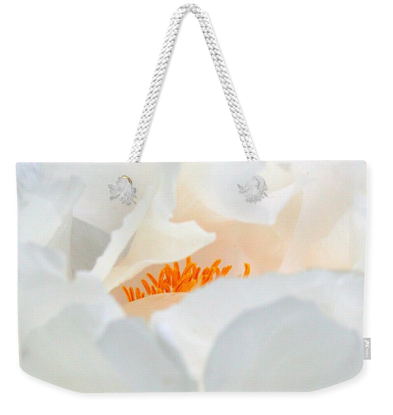 Flower Weekender Tote Bag featuring the photograph Tickle Me Pink by Julie Lueders 