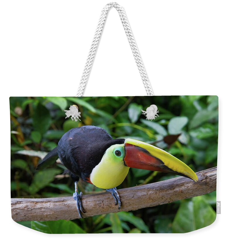 Nature Weekender Tote Bag featuring the photograph Tico Toucan by Arthur Dodd