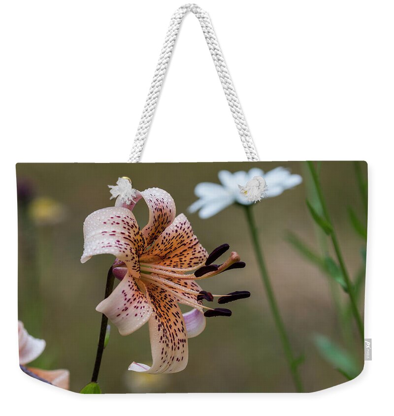 Anthers Weekender Tote Bag featuring the photograph Tiger in the Rain by Robert Potts