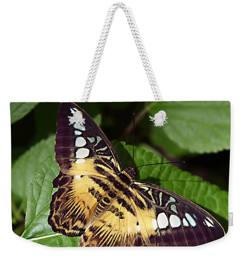 Butterfly Weekender Tote Bag featuring the photograph Tiger Print --- Clipper Butterfly by Bob Johnson
