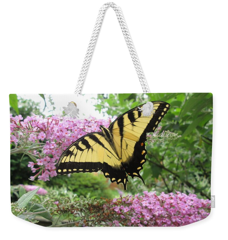 Butterflies Weekender Tote Bag featuring the photograph Tiger Swallowtail by Bill OConnor