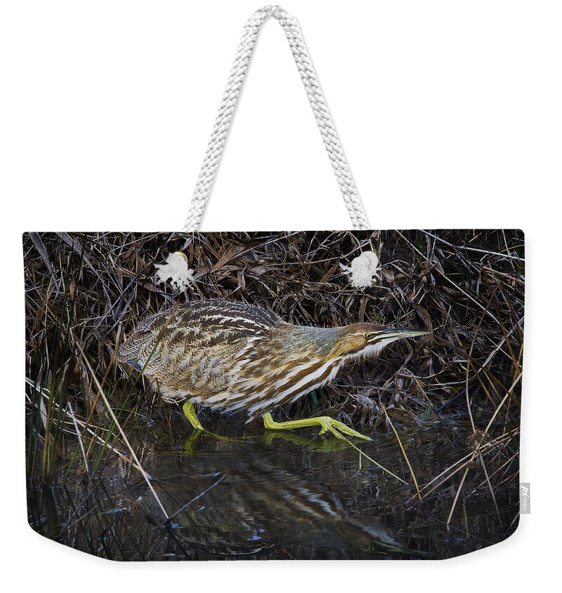 Bird Weekender Tote Bag featuring the photograph Tip Toeing Through the Grass by John Christopher