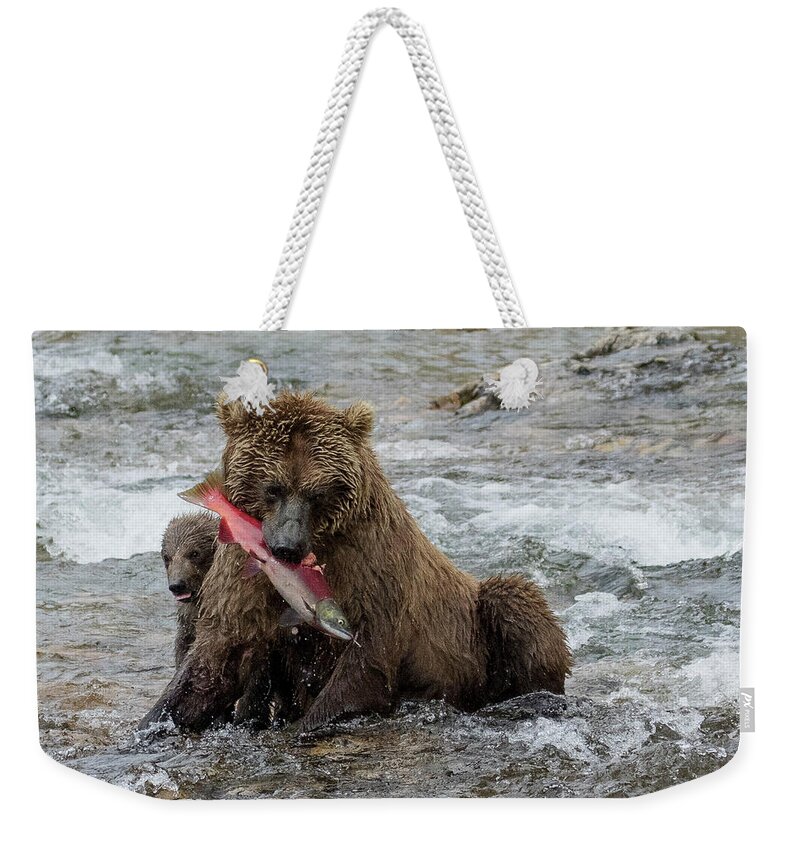 Alaska Weekender Tote Bag featuring the photograph Time for Lunch by Cheryl Strahl