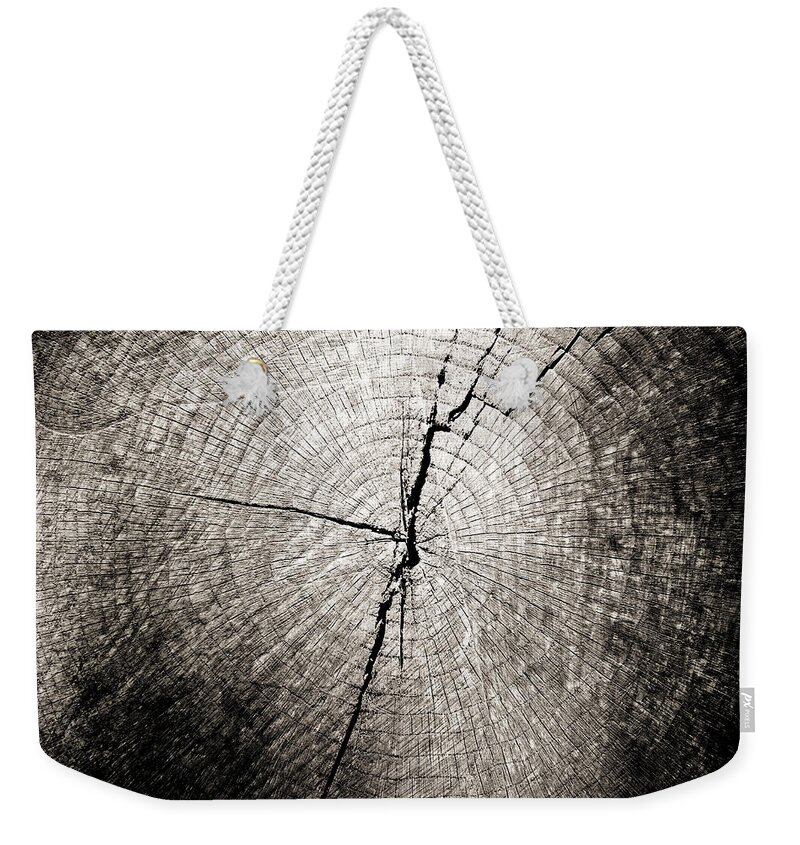 Tree Weekender Tote Bag featuring the photograph Time Passage by Colleen Kammerer
