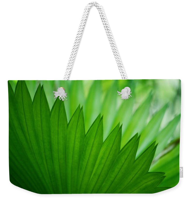 Palm Weekender Tote Bag featuring the photograph Timeless by Melanie Moraga