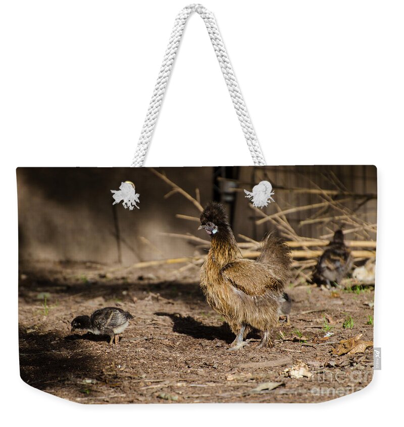 Chickens Weekender Tote Bag featuring the photograph Tiny and Babies by Donna Brown