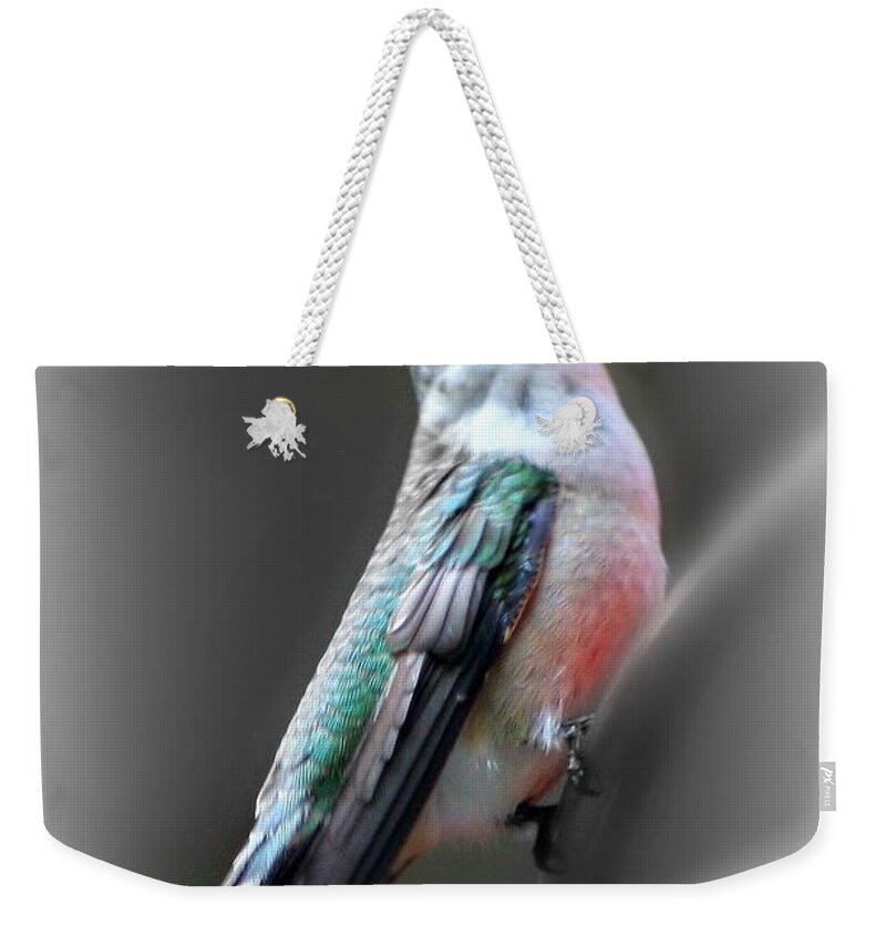 Humming Bird Weekender Tote Bag featuring the photograph Tiny Dancer by Barbara S Nickerson