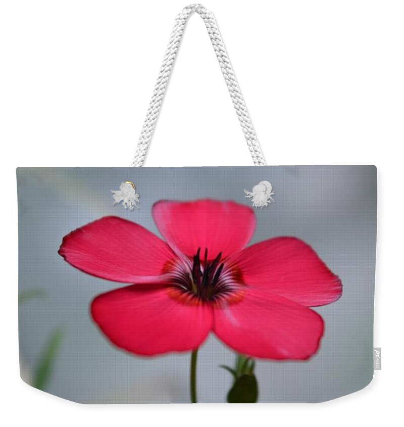 Flower Weekender Tote Bag featuring the photograph Tiny Flower by Dani McEvoy