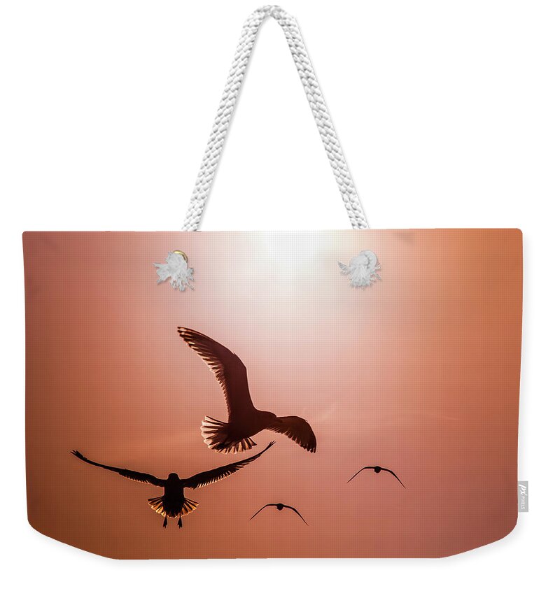 Seagull Silhouettes Weekender Tote Bag featuring the photograph TO BE FREE by KAREN WILES by Karen Wiles