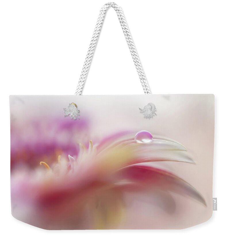 Jenny Rainbow Fine Art Photography Weekender Tote Bag featuring the photograph To Live in Dream 2. Macro Gerbera by Jenny Rainbow