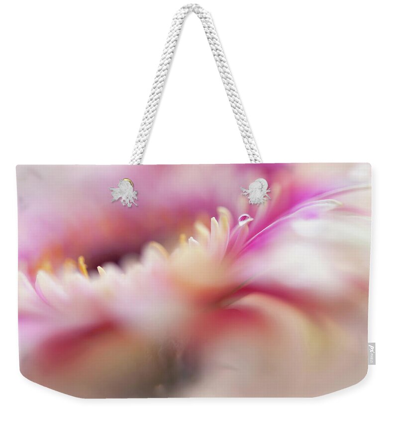 Jenny Rainbow Fine Art Photography Weekender Tote Bag featuring the photograph To Live in Dream 5. Macro Gerbera by Jenny Rainbow