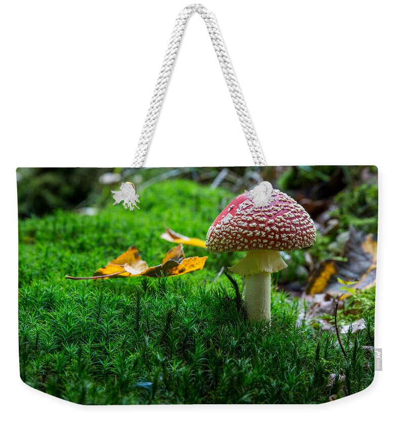 Toadstool Weekender Tote Bag featuring the photograph Toadstool by Andreas Levi