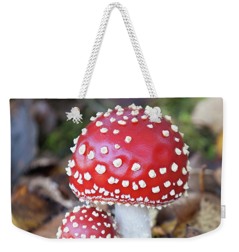 Helen Northcott Weekender Tote Bag featuring the photograph Toadstools in the Woods vi by Helen Jackson