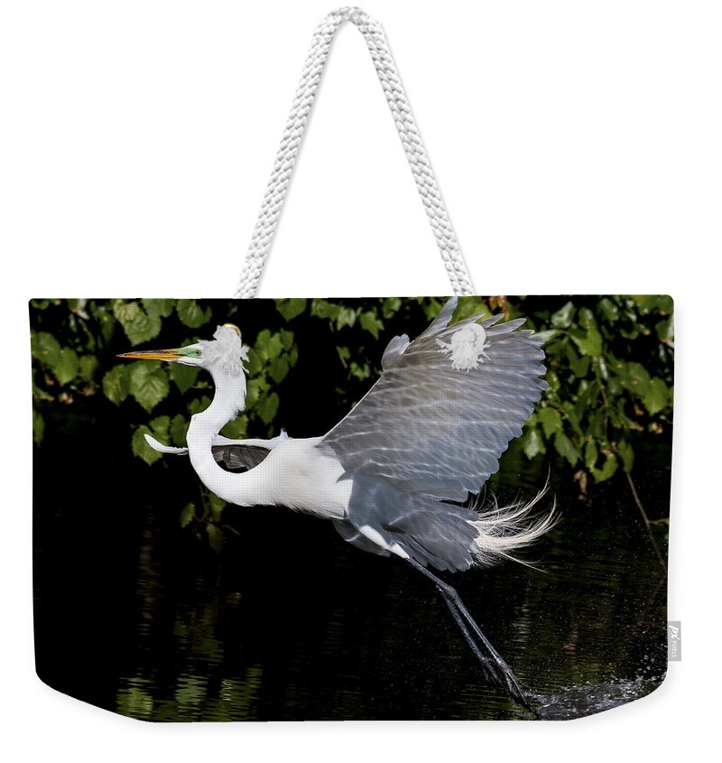 Great Egret Weekender Tote Bag featuring the photograph Toe Draggin' by Jim Miller