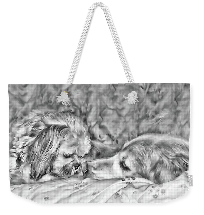 Greeting Card Weekender Tote Bag featuring the photograph Tolerance by Rhonda McDougall