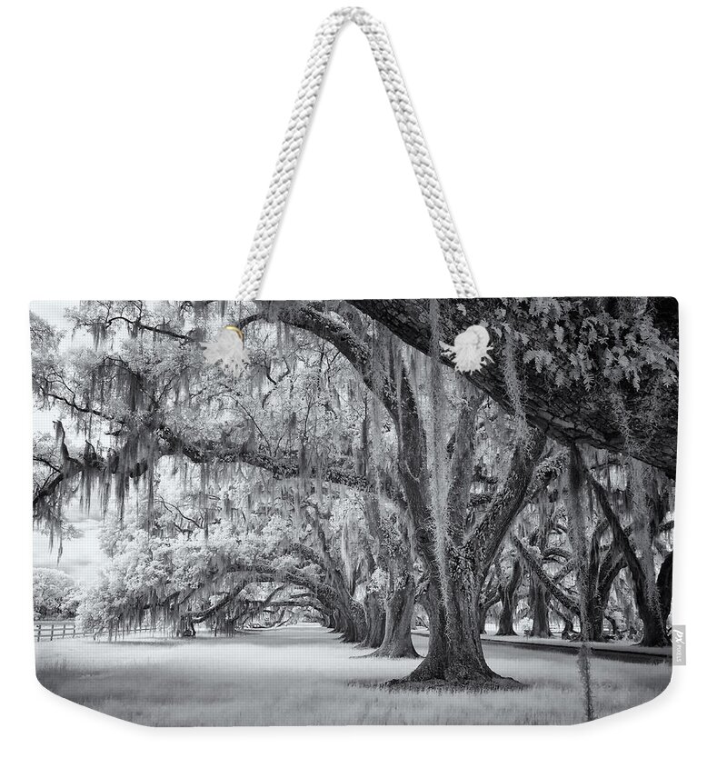 Cindy Archbell Weekender Tote Bag featuring the photograph Tomotley Plantation Oaks by Cindy Archbell