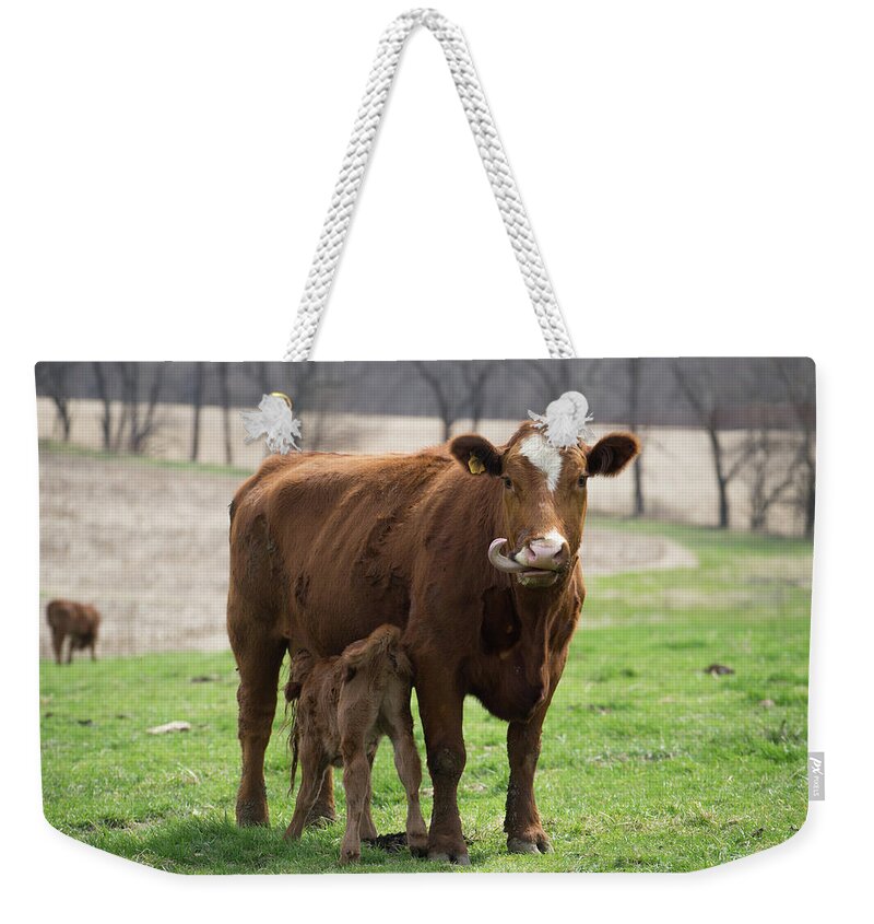 Tongue Weekender Tote Bag featuring the photograph Tongue by Brooke Bowdren