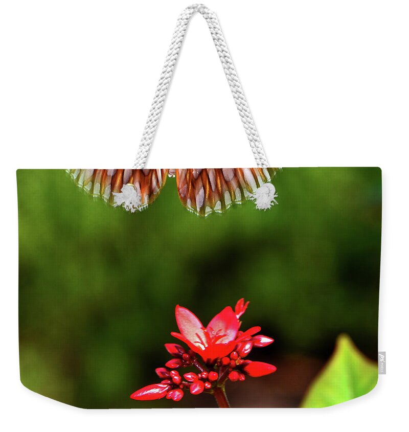 Spicy Jatropha Weekender Tote Bag featuring the photograph Too Late 001 by George Bostian