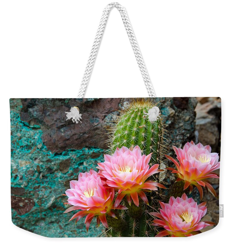 Torch Cactus Weekender Tote Bag featuring the photograph Torch and Chrysocolla by Evelyn Harrison