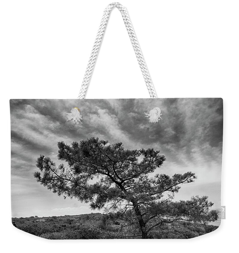 Torrey Weekender Tote Bag featuring the photograph Torrey Pine by Hugh Smith