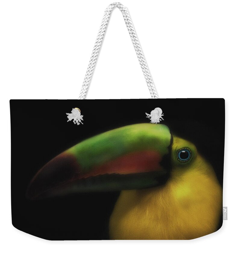 Toucans Weekender Tote Bag featuring the photograph Toucan On Black by Pat Abbott