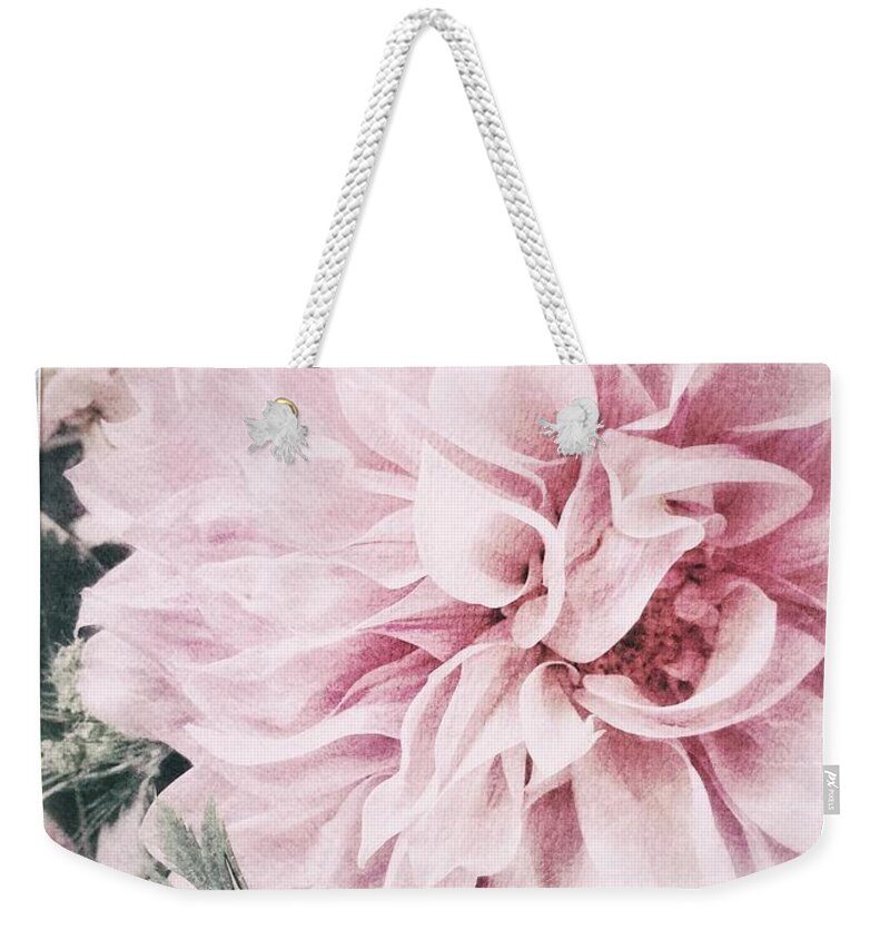 Dahlia Weekender Tote Bag featuring the photograph Touch of Blush Dahlia by Jill Love