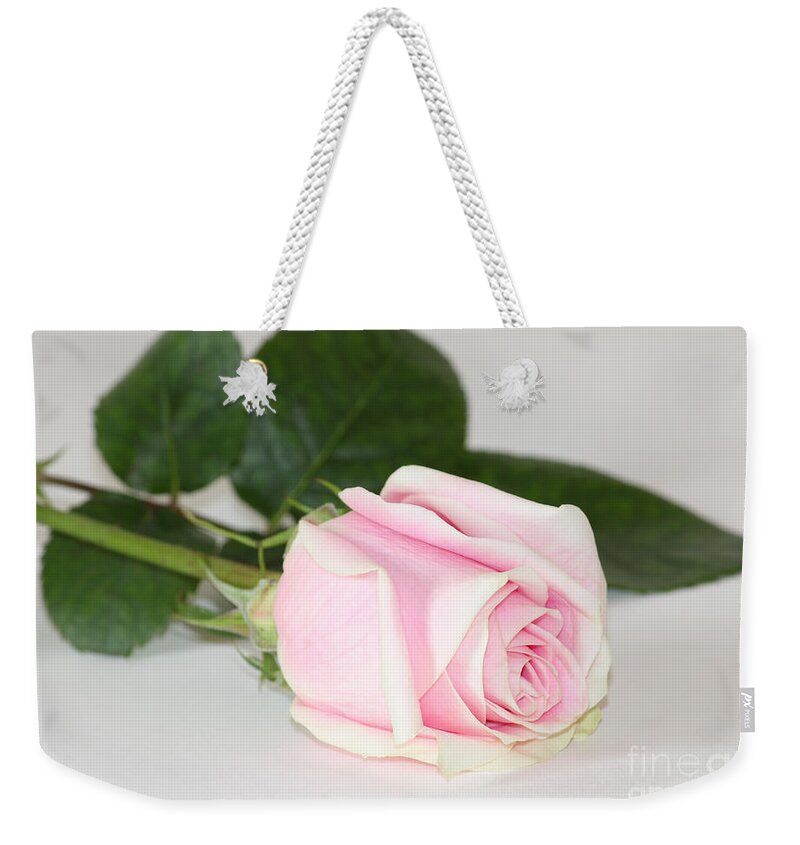 Rose Weekender Tote Bag featuring the photograph Touch of Love by Anita Oakley
