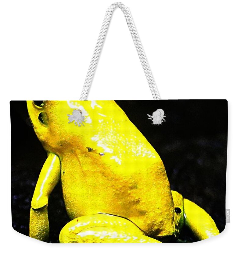 Frog Weekender Tote Bag featuring the photograph Toxic by Kathleen Voort