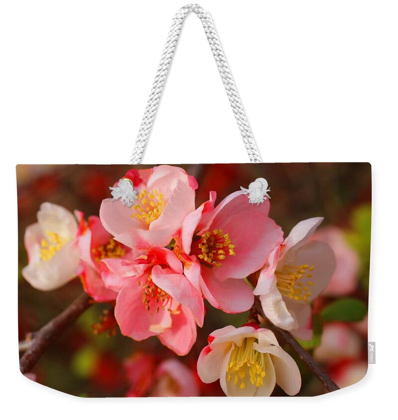 Quince Weekender Tote Bag featuring the photograph Toyo-Nishiki Quince Blooms by Kathryn Meyer